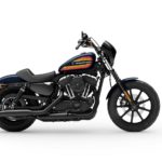 MY20 XL1200NS Iron 1200. Sportster. INTERNATIONAL ONLY